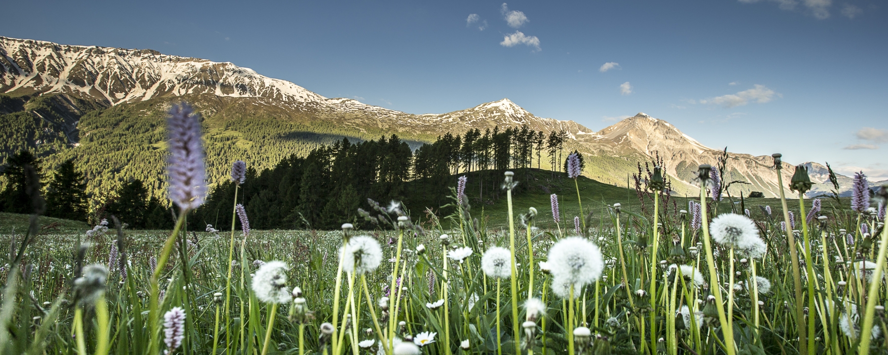 Frühling im Val Müstair.