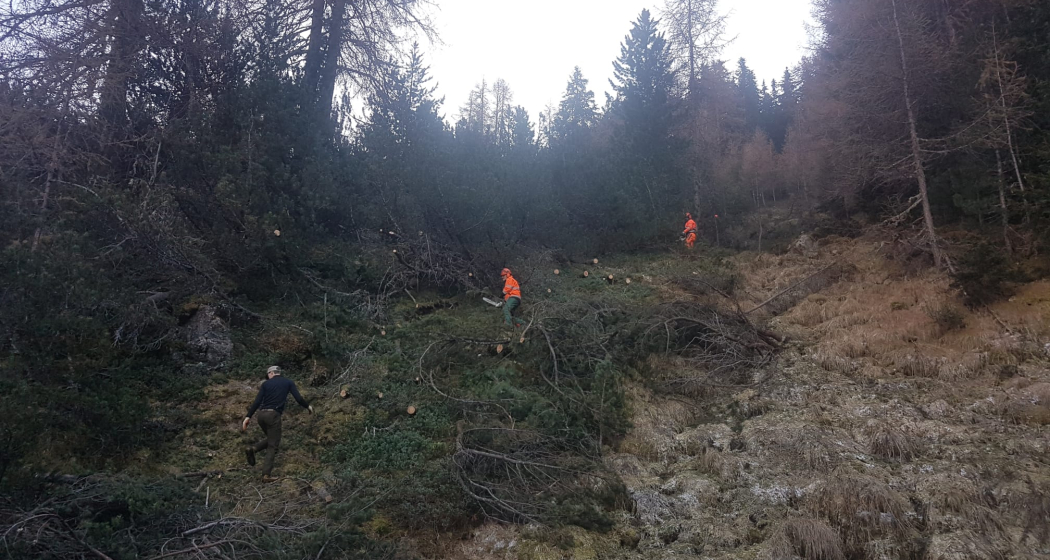 Massnahmen Besucherlenkung Massnahmen Besucherlenkung