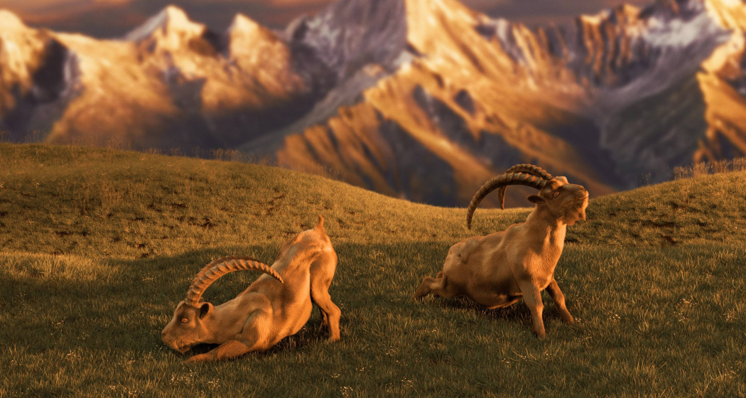 Mach's besser mit Gian & Giachen Titelbild