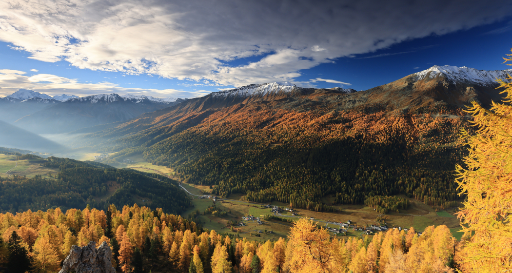 Herbst