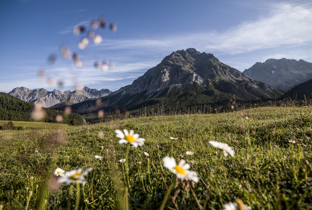 Blick auf Buffalora
