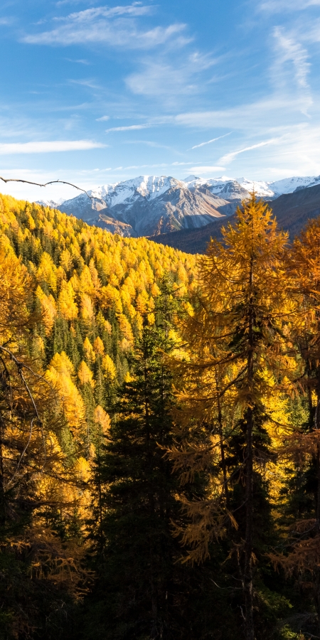 Milde Temperaturen, tiefblauer Himmel und weisse Berggipfel über dem God Nair