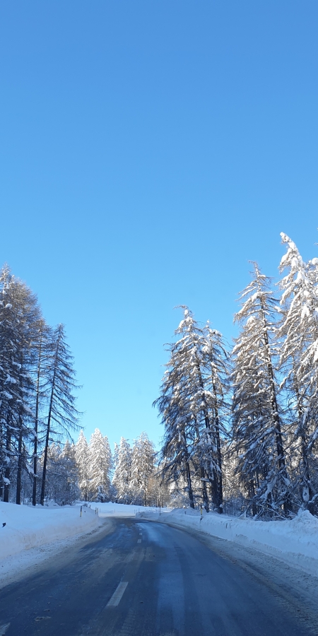 Eingeschneite Winterlandschaft