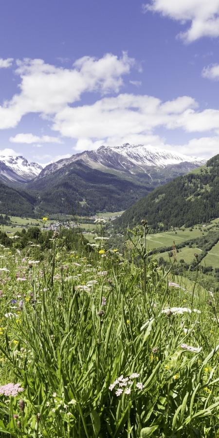 Frühling im Val Müstair mit Blick auf Sta. Maria