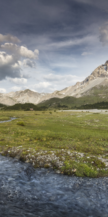 Blick ins Val Mora. Bild: Danuser Blick ins Val Mora. Bild: Danuser