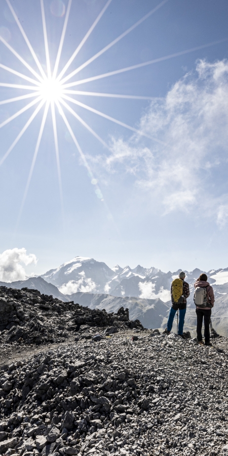 Blick auf dem Ortler