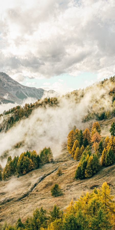 Herbst im Val Müstair Herbst im Val Müstair
