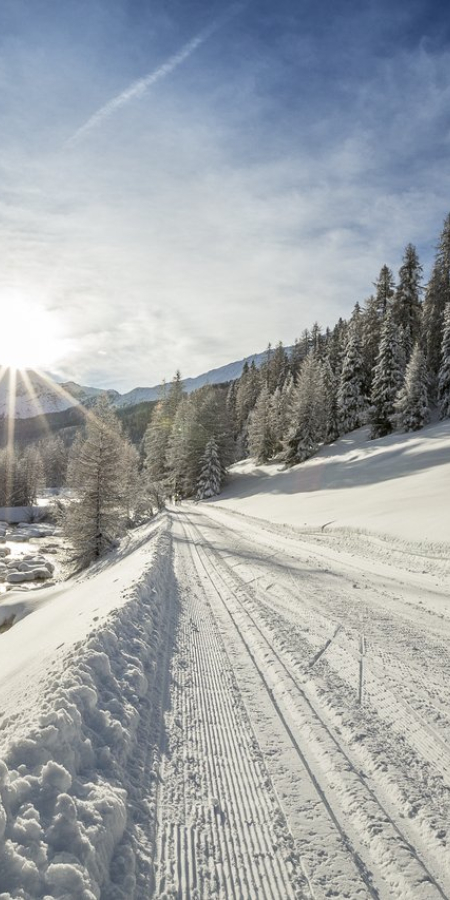Winter - Wandern - Schnee