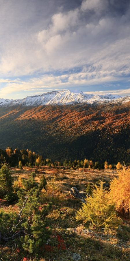 Herbst