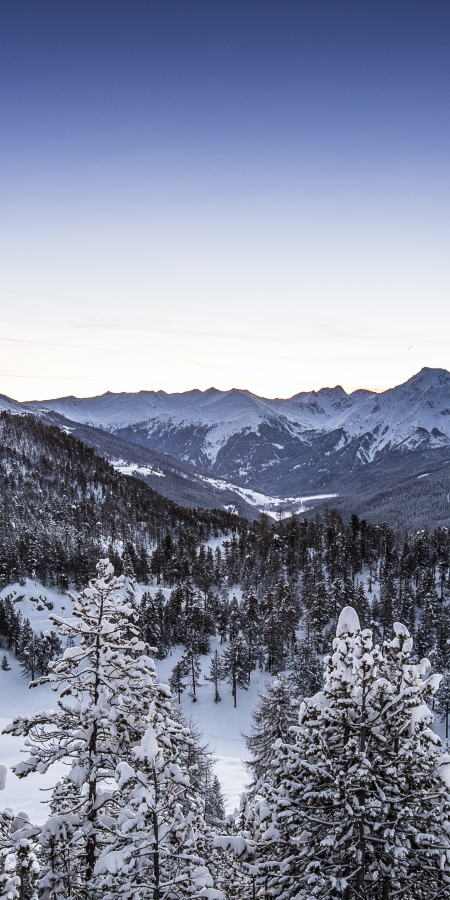 Winterlandschaft im Val Müstair Winterlandschaft im Val Müstair