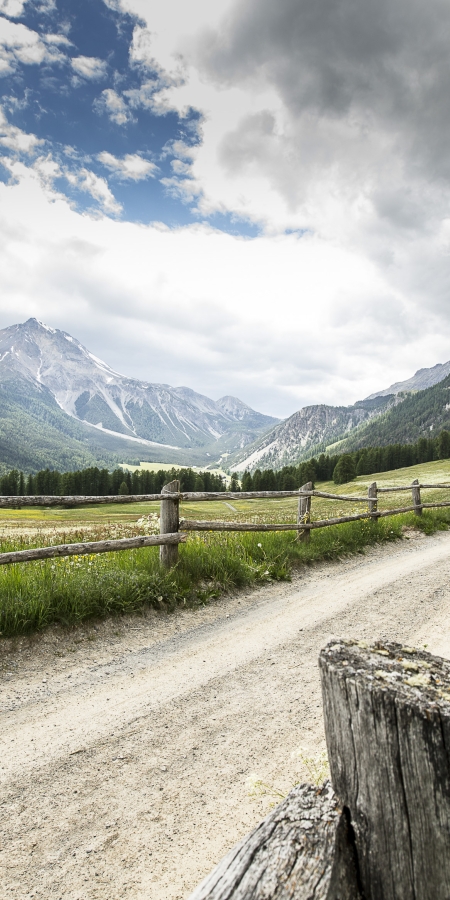 Höhenwanderung im Val Müstair.