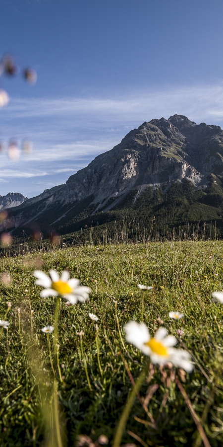 Blick auf Buffalora