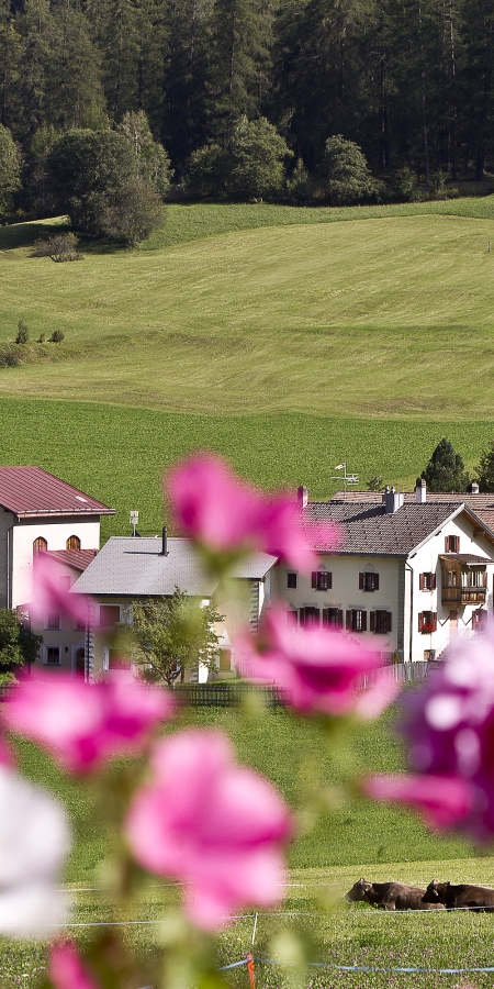 Dorf Valchava im Val Müstair Dorf Valchava im Val Müstair