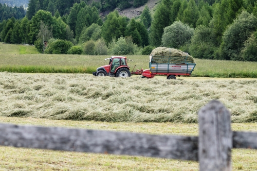 Agricultura Val Müstair
