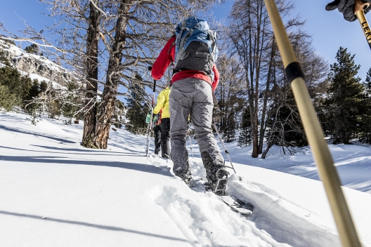 Schneeschuhwandern