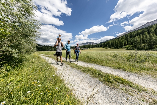 Wandern