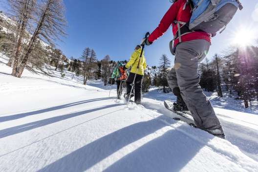 Schneeschuhwandern