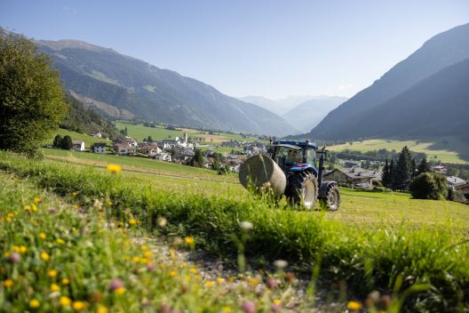Arbeit auf dem Feld.