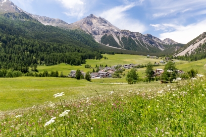 Aussicht auf Tschierv und Piz Daint