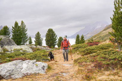 Alp Tabladatsch, Claudia Alini, Herbst, Hund, VM, Val Müstair, Wandern, adventure, backpacking, fell, hiking, hill, mountain, mountain range, ridge, sports, trail, tree, walking, wilderness