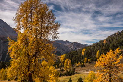 Herbst Herbst