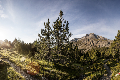 Schweizerischer Nationalpark.