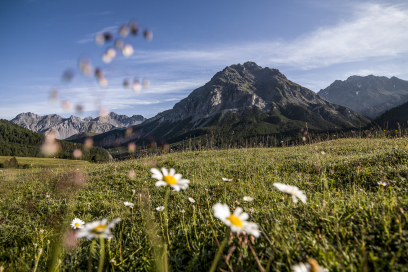 Blick auf Buffalora Blick auf Buffalora