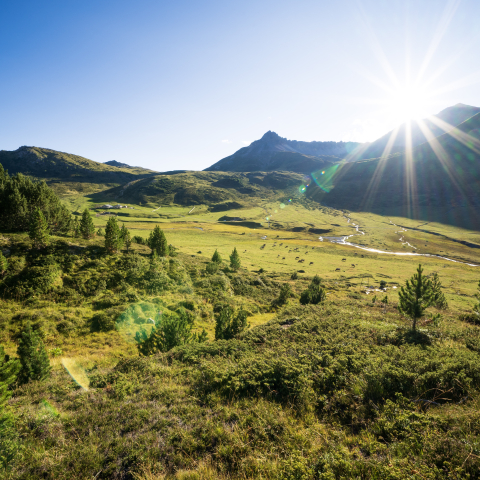 Blick auf Alp Astras Blick auf Alp Astras