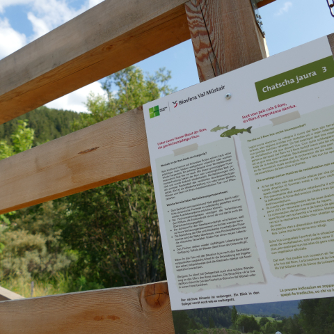 Chatscha jaura Chatscha jaura