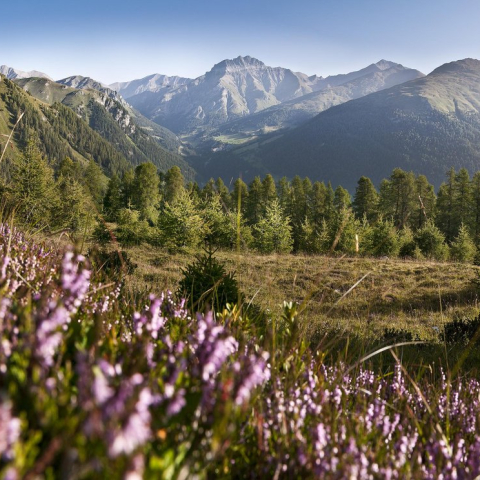 Sommerlandschaft Engadin