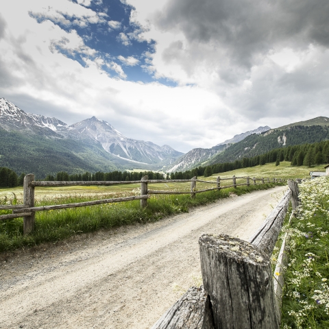 Höhenwanderung im Val Müstair.