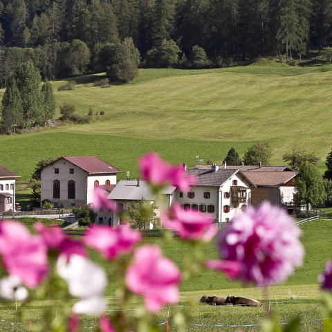 Dorf Valchava im Val Müstair Dorf Valchava im Val Müstair
