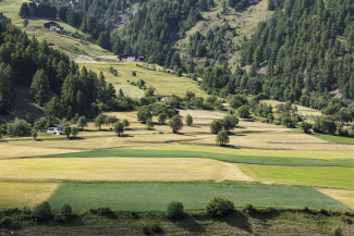 Landwirtschaft Landwirtschaft