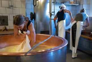 Mit einem Tuch wird jeder Käse einzeln aus dem Kessel gezogen.