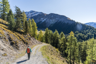 Senda Val Müstair