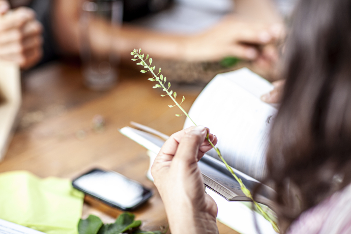 GEO-Tag der Natur GEO-Tag der Natur