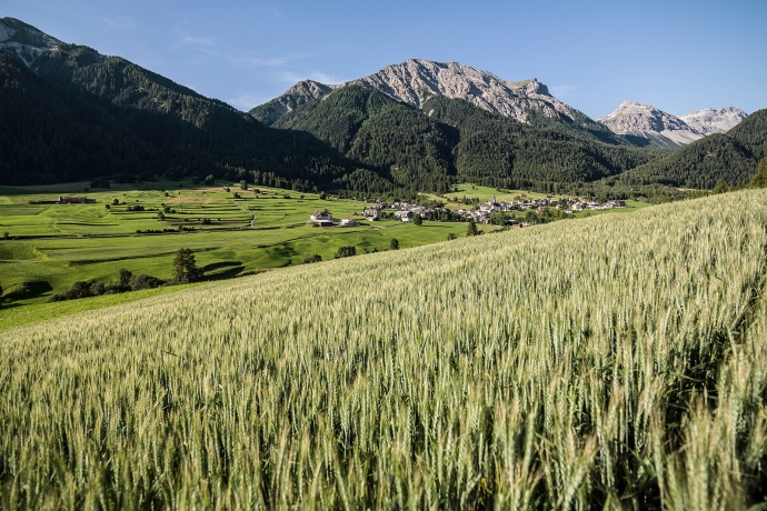 Jakobsweg Graubünden Müstair – Lü (Foto: © Andrea Badrutt, Chur) Erste Etappe Jakobsweg Graubünden Müstair – Lü