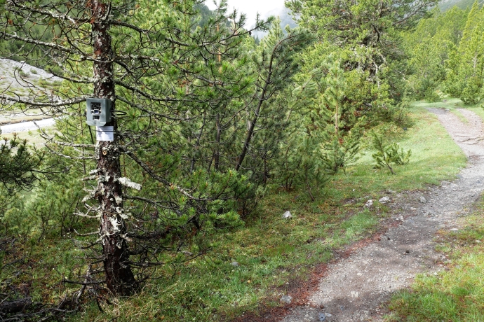 Monitoring Monitoring