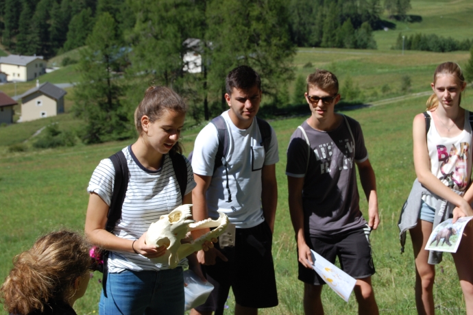 Rückkehr der Grossraubtiere Rückkehr der Grossraubtiere