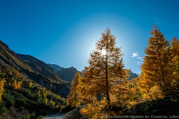 Der goldene Herbst im Val Müstair, © Chantal Lörtscher Der goldene Herbst im Val Müstair, © Chantal Lörtscher