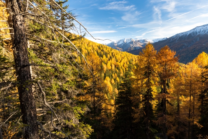 Milde Temperaturen, tiefblauer Himmel und weisse Berggipfel über dem God Nair Milde Temperaturen, tiefblauer Himmel und weisse Berggipfel über dem God Nair