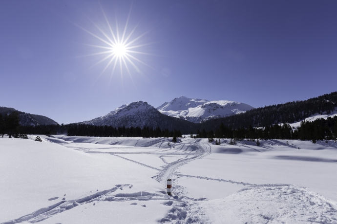 Buffalora mit Piz Daint Buffalora mit Piz Daint