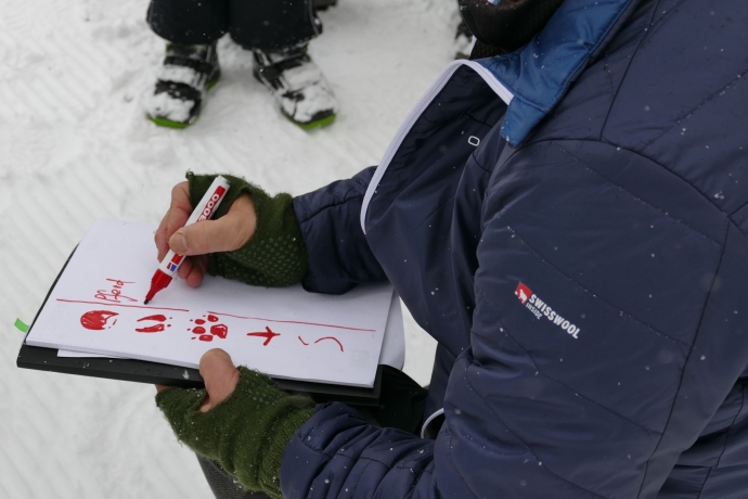 Spuren im Schnee Spuren im Schnee
