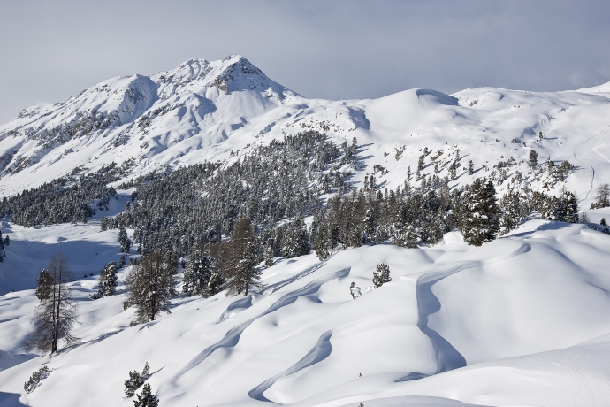 Natur im Winter