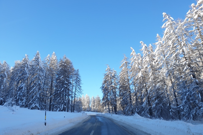 Eingeschneite Winterlandschaft