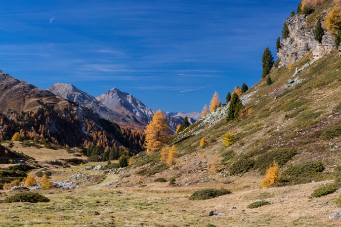 Herbst Herbst
