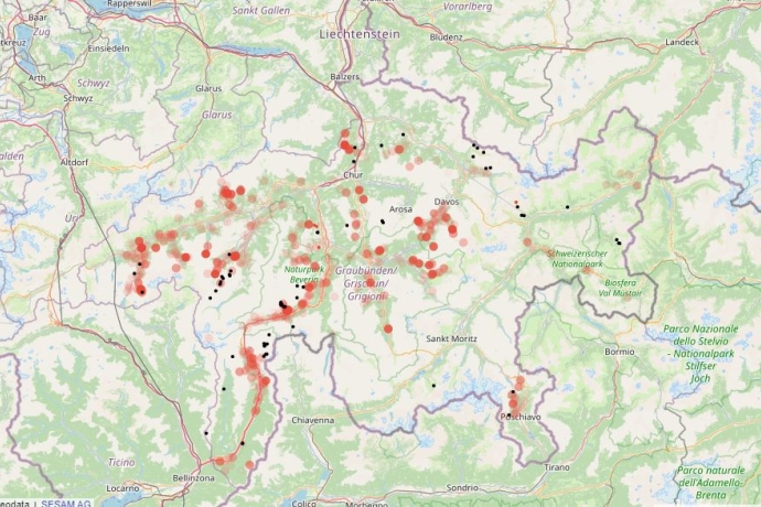 Beobachtungen Grossraubtiere in Graubünden