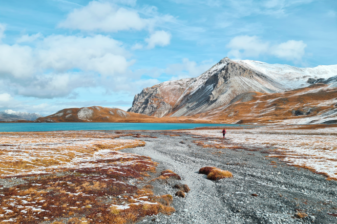 Trailrunning Trailrunning