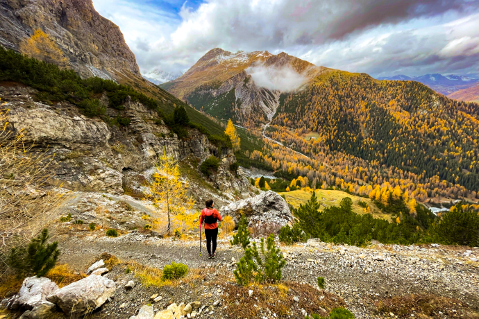 Trailrunning Trailrunning