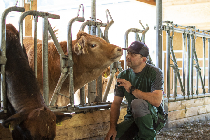 Pauraria Puntetta Pauraria Puntetta